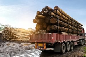 WV Log Truck being loaded