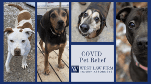 Pictures of dogs sponsored by West Law Firm in Charleston WV