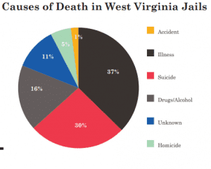 Pie graph of causes of death in WV Jails